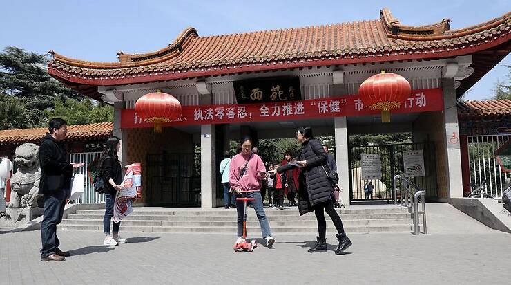 凤凰地址更新了!教你快速找到最新入口