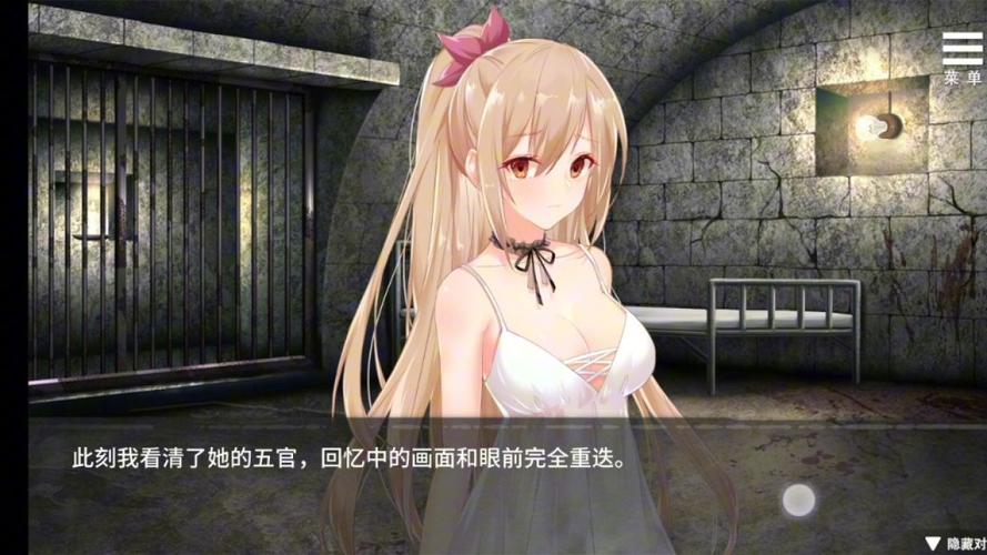罪恶集中营游戏介绍:体验刺激的监狱生活