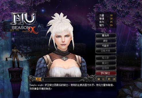 女骑士蕾蒂西亚游戏攻略大全：技能搭配与战斗技巧详解