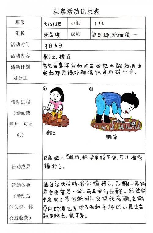 我的播种农场杨过游戏心得：我的种田经验分享