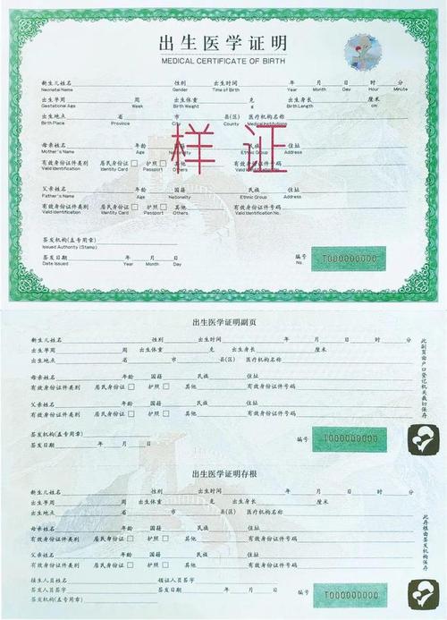 宝宝出生证明在哪里查询？官方网站在线查询系统指南