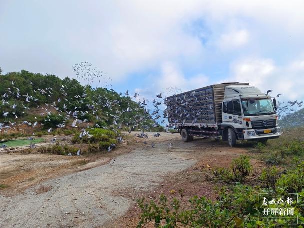 想玩归巢？这里提供官方正式版最新下载