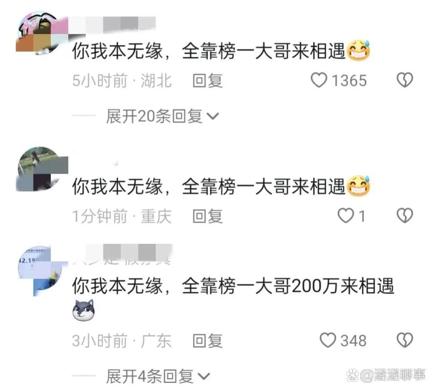 榜一大哥专享官网:揭秘直播平台背后的秘密