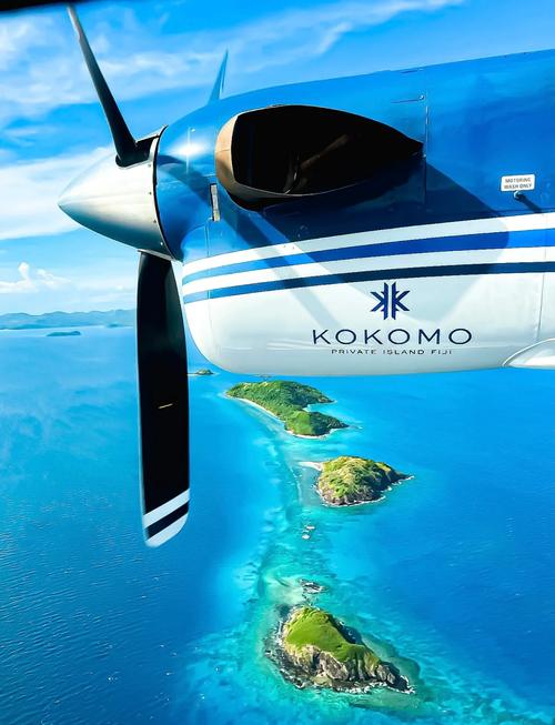 Nekotto岛官网入口：轻松下载畅玩游戏