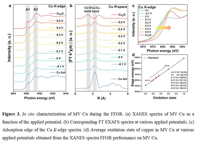 正确获取生命体V0.18b下载地址,避免病毒陷阱