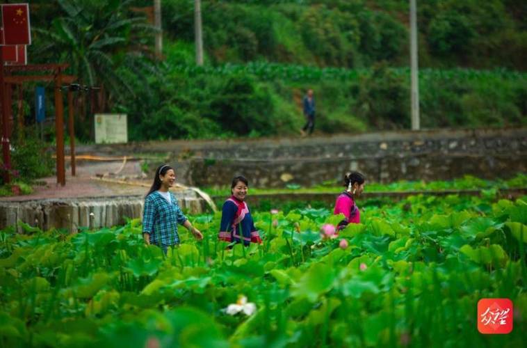 最新乡村生活的快乐暑假:模拟游戏带你体验农村生活
