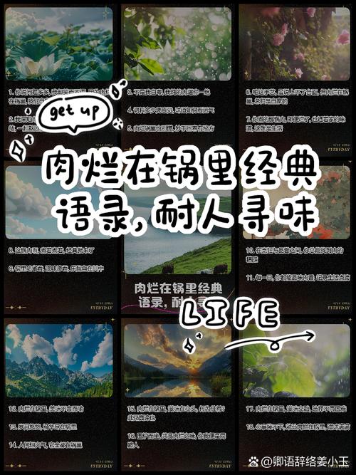 肉烂在锅里官网：经典相声版权纠纷始末及最新进展