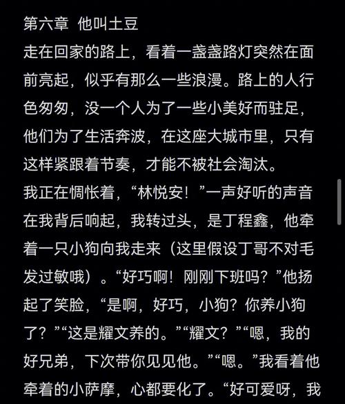 少年阿宾小说游戏下载资源合集，快速下载！