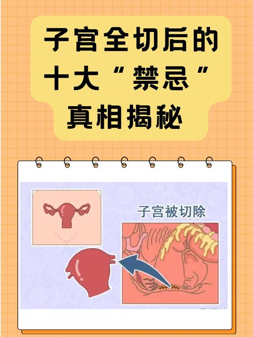 禁忌的秘密版本大全:揭秘那些不为人知的真相