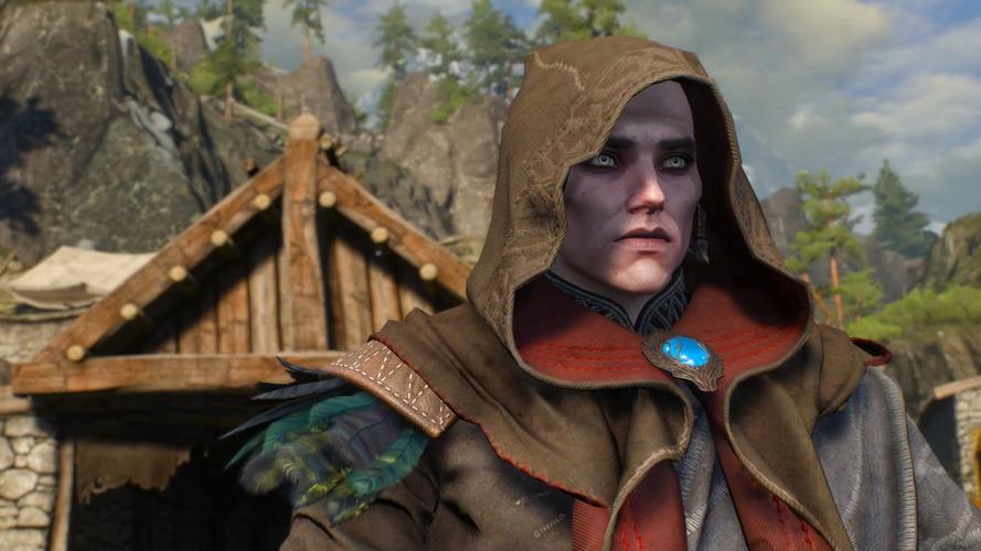 巫师的悖论版本大全：全版本游戏资源下载及剧情详解