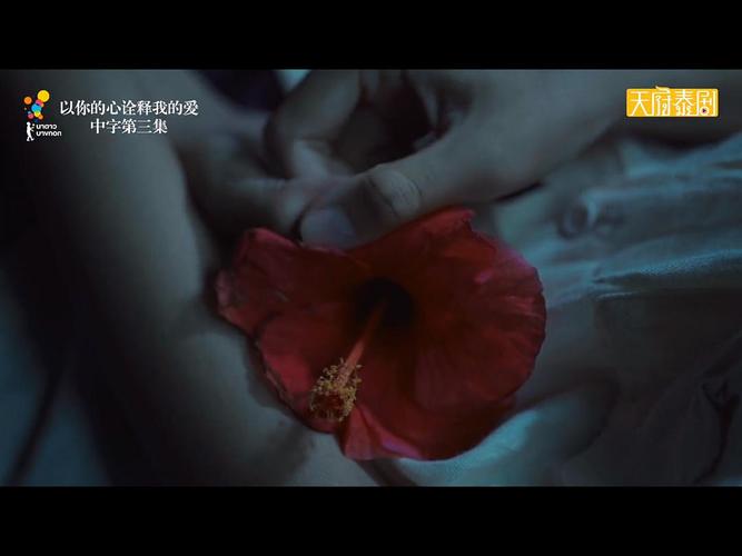 想知道太太的恢复术夺爱篇最新版本？这里有你想要的答案！