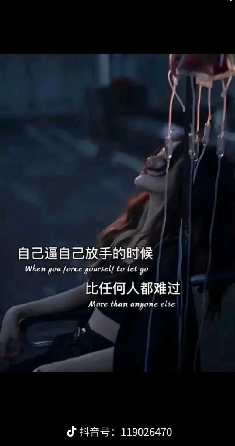寻找还道累之夜完整版?这里有你想要的!