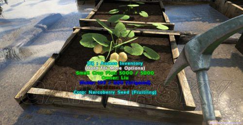 我的播种农场杨过游戏心得：我的种田经验分享