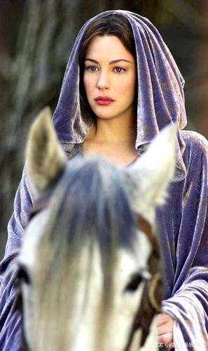 想看爱与战争？系列三部曲版本大全都在这里！