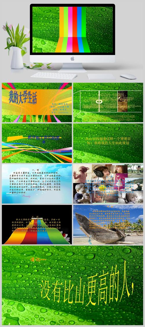 我的大学生活S3官网:玩家评价及游戏版本选择指南