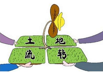 乡间性活官方网站导航:便捷的农村信息查询入口