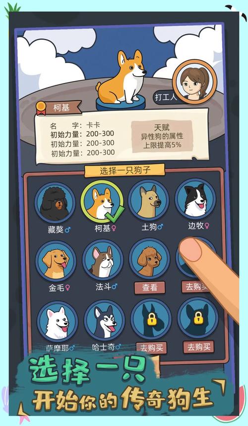 安卓平台奴隶训练游戏大全：多种玩法任你选