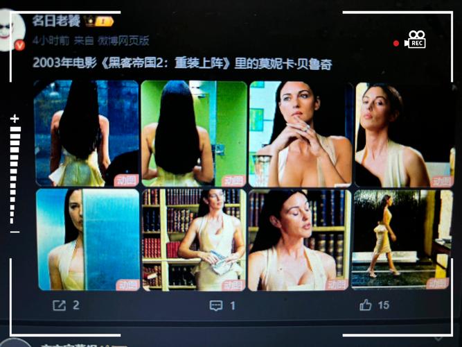 时尚女王莫妮卡第二季完结版下载资源推荐