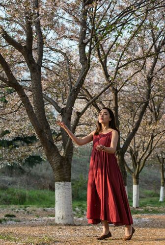 安卓红樱花馆下载:重拾旧业邂逅众多美女