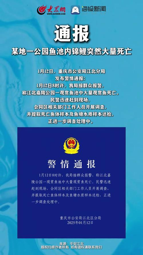 渔网亡灵最新报道:湖中意外事故频发,安全防范刻不容缓