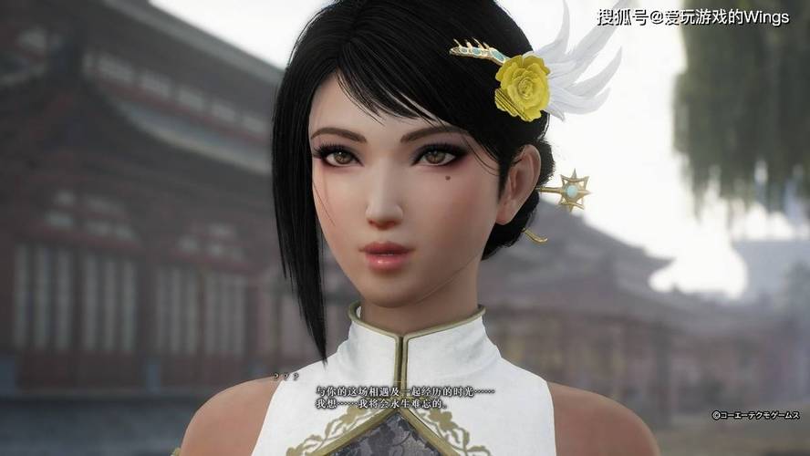 真三国无双绅士版杨过游戏：绅士向三国割草盛宴