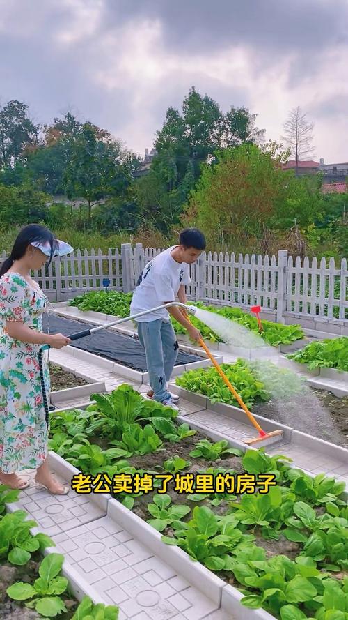 乡下生活最新动态:体验不一样的乡村生活