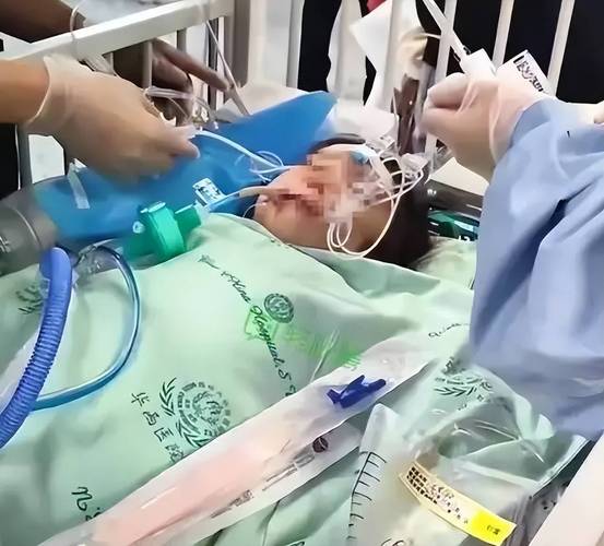 监护人最新版本高清完整版在线观看