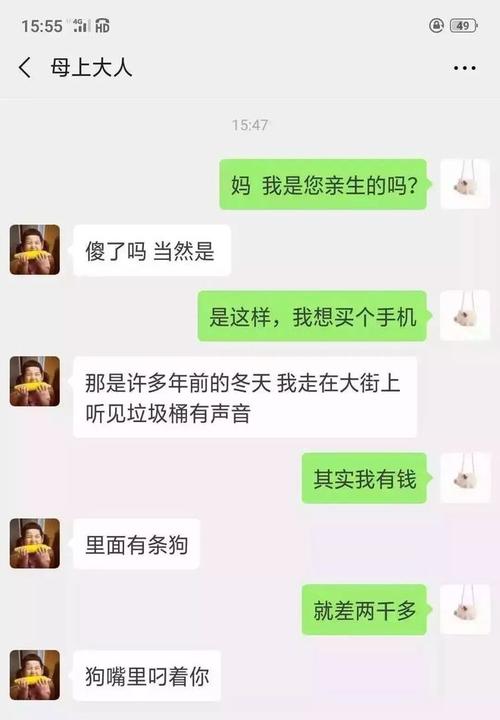 母上攻略重制版1-4最新版本是多少?资源合集推荐