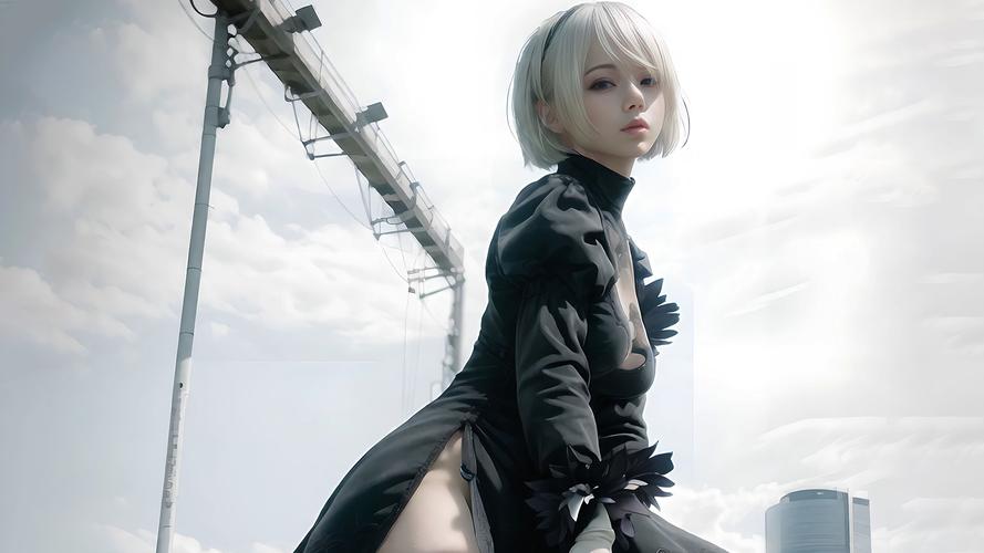 寻找尼尔机械纪元2K剪辑精品游戏下载？这里有资源！