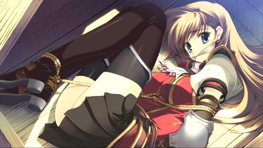 NTR故事商务旅行汉化版：最新更新了什么？