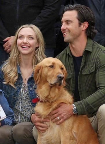 人狗情未了游戏官网:9个独立小故事等你解锁