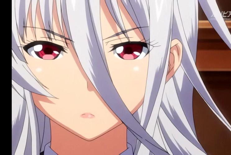 圣布伦希尔特学园少女骑士团纯白胖次游戏下载，最新正式版等你来玩！