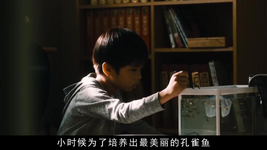 欲望之影下载地址在哪?快速获取高清完整版资源