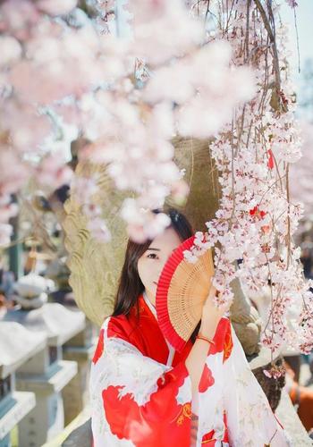 安卓红樱花馆下载:重拾旧业邂逅众多美女