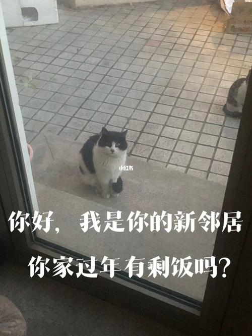 我的新邻居最新版本更新了什么？值得下载吗？