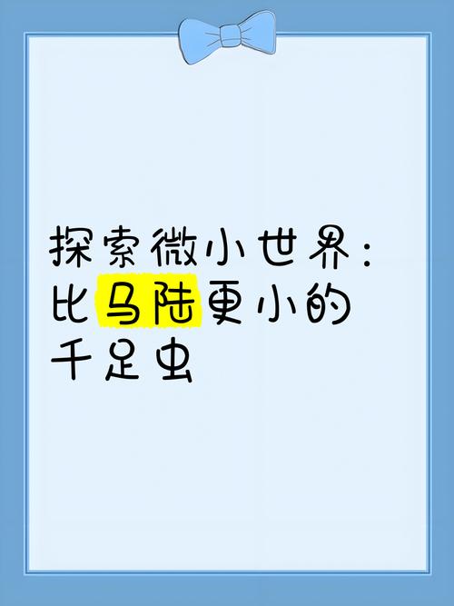 微小的我官方网站:你的专属微小世界,等你来探索