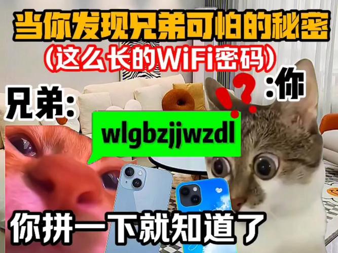 当你的猫咪更新地址在哪?最新下载方法分享