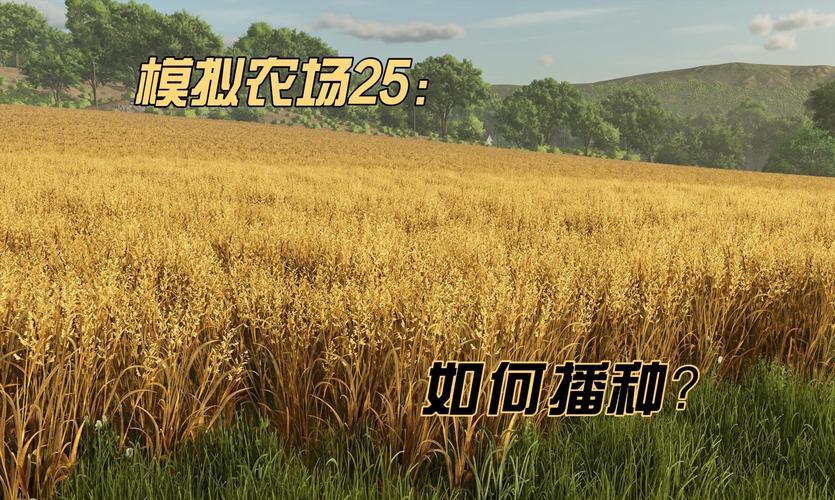 我的播种农场杨过游戏攻略:新手入门必看技巧