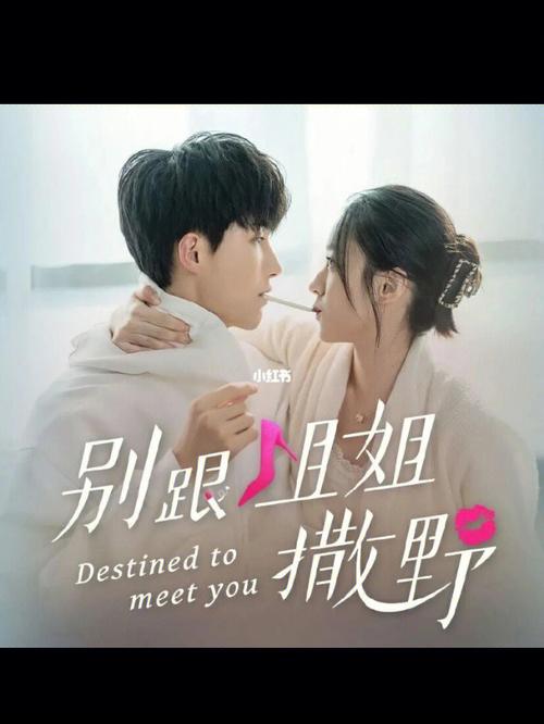 姐姐别追我游戏官网：双人模式，一起玩耍！