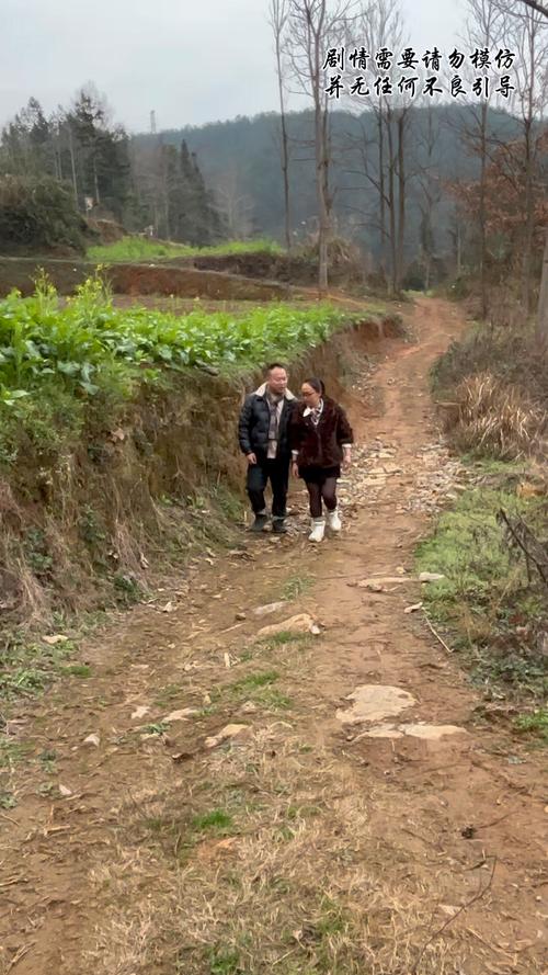 乡下生活最新动态:体验不一样的乡村生活