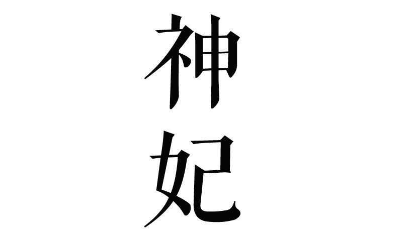 妃神会秘史汉化版：最新更新内容及游戏玩法全攻略