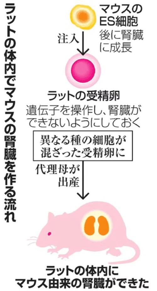 想玩世界之卵？这里提供下载地址和安装教程