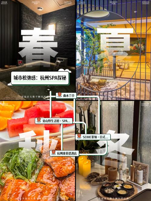 各版本我的都市生活体验:哪个更适合你?