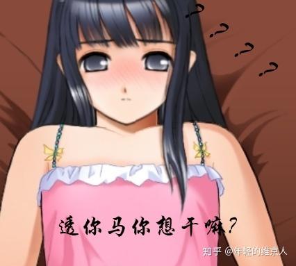 阳光下的真实更新地址大全：不同平台下载方法