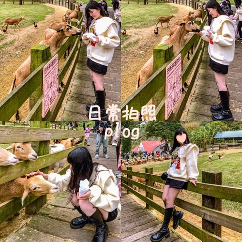 后宫牧场生活更新地址在哪?赶紧来下载最新版本吧!