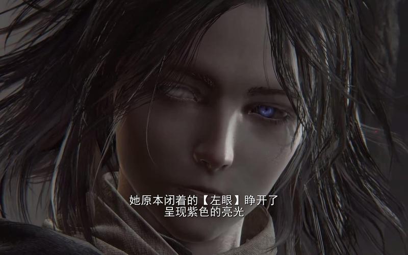 艾尔登法环精翻官方网站：探索迷宫、黑暗大洞，寻找自由