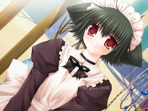 如何下载魔法少女莱万提亚频道安卓版？