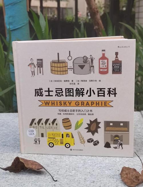 帅气的我最新版本：新手入门指南及进阶技巧