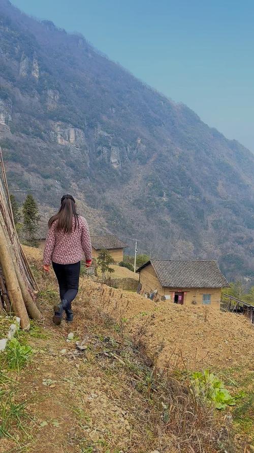 乡下生活最新动态:体验不一样的乡村生活