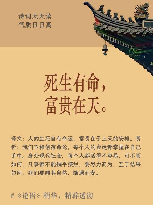 宿命论安卓版下载：命运预测，掌控人生？